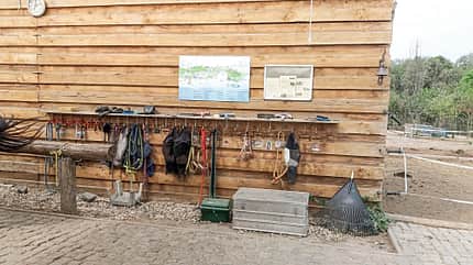 CAVALLO Reitschultest Leipzig Reitschultest Leipzig