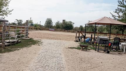 CAVALLO Reitschultest Leipzig Reitschultest Leipzig