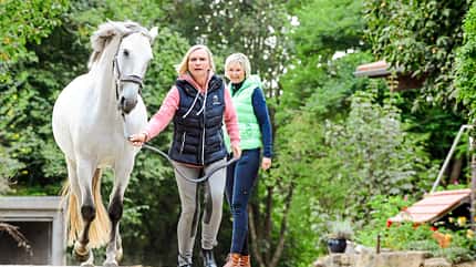 CAVALLO Coach CAVALLO Coach