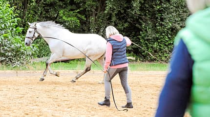 CAVALLO Coach CAVALLO Coach