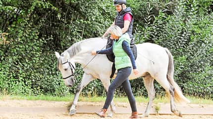 CAVALLO Coach CAVALLO Coach