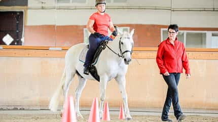CAVALLO Reiten lernen Teil 3 Reiten lernen Teil 3
