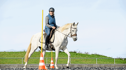 Working Equitation Working Equitation
