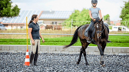 Working Equitation Working Equitation