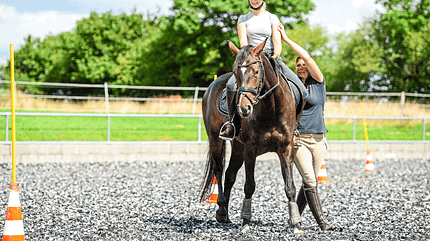 Working Equitation Working Equitation