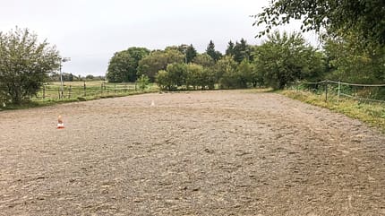 Reitschultest Reitschultest