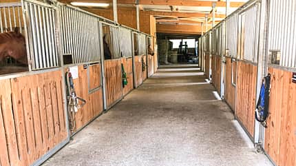Reitschultest Reitschultest