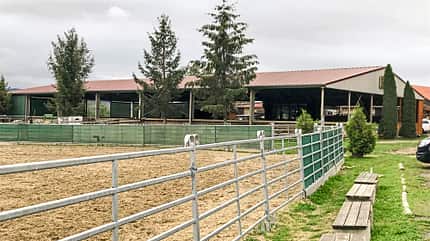 Reitschultest Reitschultest
