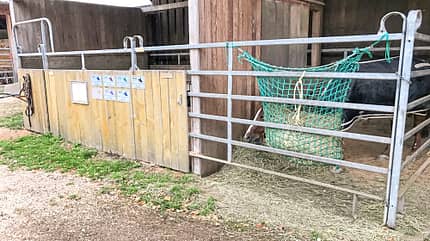 Reitschultest Reitschultest