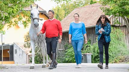 Cavallo Hautnah - Laussegger Cavallo Hautnah - Laussegger