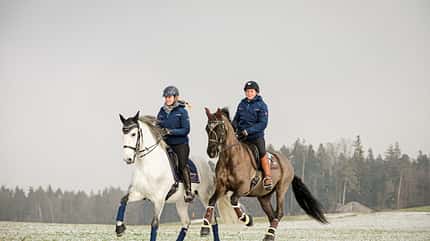 Training, Galopp, Ausritt Galopp im Gelände, zwei Reiter
