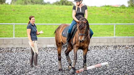 Working Equitation Working Equitation