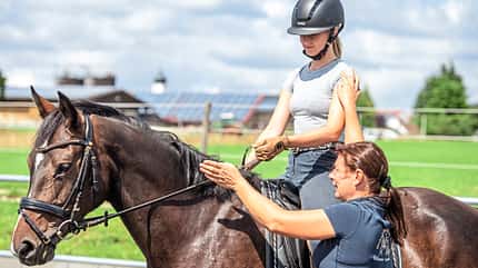 Working Equitation Working Equitation
