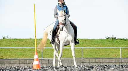 Working Equitation Working Equitation