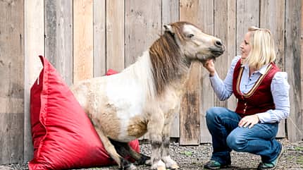 Cavallo hautnah - Supertalente Cavallo hautnah - Supertalente