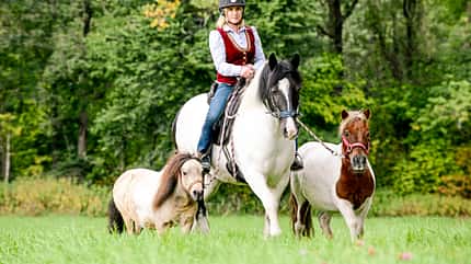 Cavallo hautnah - Supertalente Cavallo hautnah - Supertalente