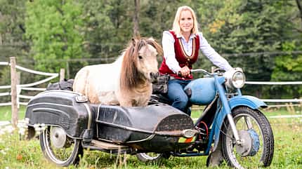 Cavallo hautnah - Supertalente Cavallo hautnah - Supertalente