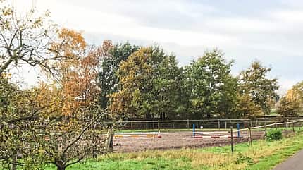 Reitschulttest Diepholz Reitschulttest Diepholz