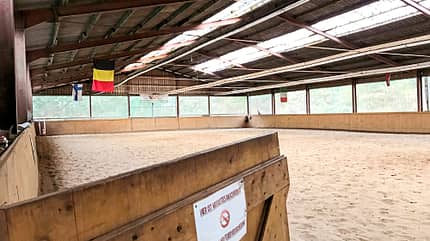 Reitschulttest Diepholz Reitschulttest Diepholz