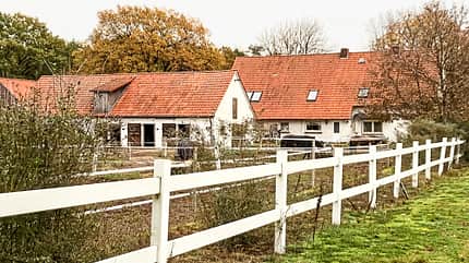 Reitschulttest Diepholz Reitschulttest Diepholz