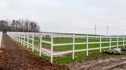 Reitschultest Reitschultest