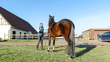 Cavallo Coach Cavallo Coach