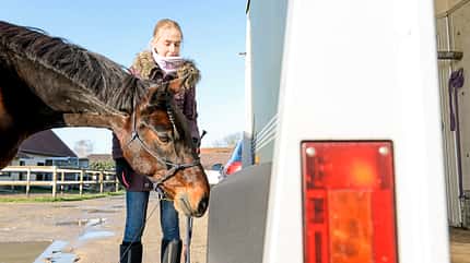 Cavallo Coach Cavallo Coach