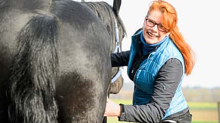 Cavallo hautnah Cavallo hautnah