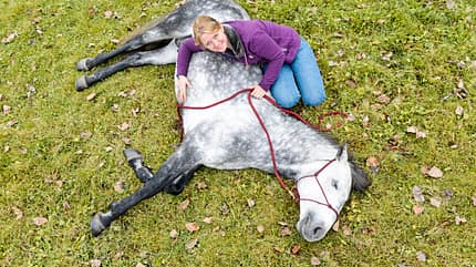 Alltagshelden,Hero,Merkle,Horsmanship,Parelli-Showteam,Tatort,Freiheitsdressur,Zirkus,Stunts Gefühle bei Pferden