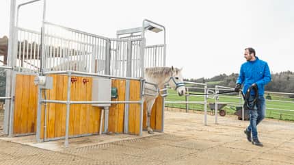 Futterautomat Training Futterautomat Training