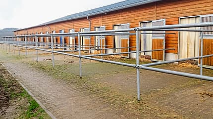 Reitschultest Reitschultest