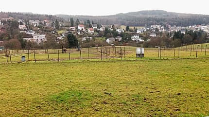 Reitschultest Reitschultest