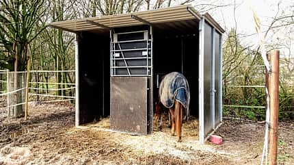 Reitschultest Reitschultest