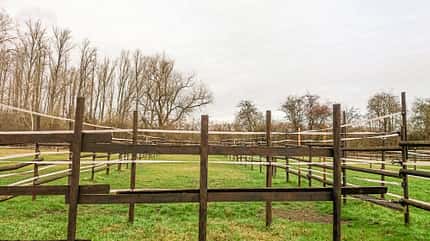 Reitschultest Reitschultest