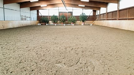 Reitschultest Reitschultest