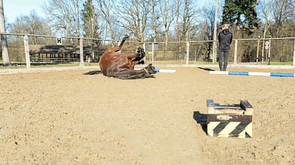 Optimisten und Nachmacher Optimisten und Nachmacher