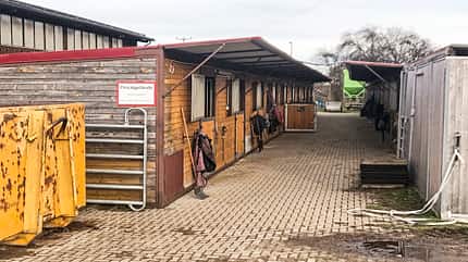 Reitschultest - Schönbach Reitschultest - Schönbach