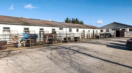 Reitschultest - Schönbach Reitschultest - Schönbach
