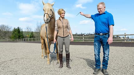 CAVALLO Wen Pferde wollen Wen Pferde wollen