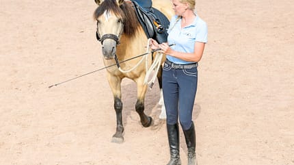 CAVALLO Grenzen setzen Grenzen setzen