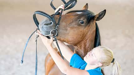 CAVALLO Grenzen setzen Grenzen setzen