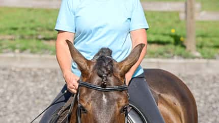 CAVALLO Äußere Hilfen Äußere Hilfen