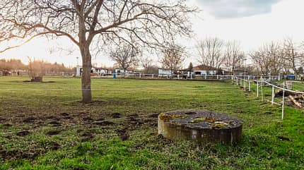 CAVALLO Reitschultest Magdeburg Reitschultest Magdeburg