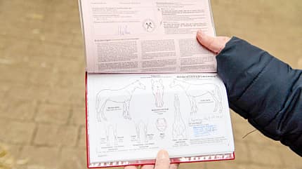 CAVALLO Wertermittlung Wertermittlung