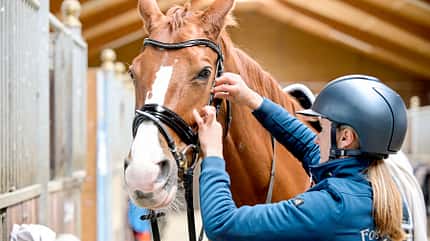 CAVALLO Wertermittlung Wertermittlung