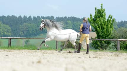 CAVALLO Titel Thema Tempo Titel Thema Tempo