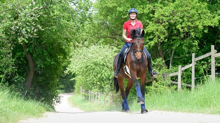CAVALLO Titel Thema Tempo Titel Thema Tempo