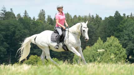 CAVALLO Titel Thema Tempo Titel Thema Tempo