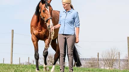 CAVALLO Spazierengehen Spazierengehen