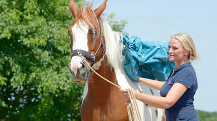 CAVALLO Grenzen setzen Grenzen setzen